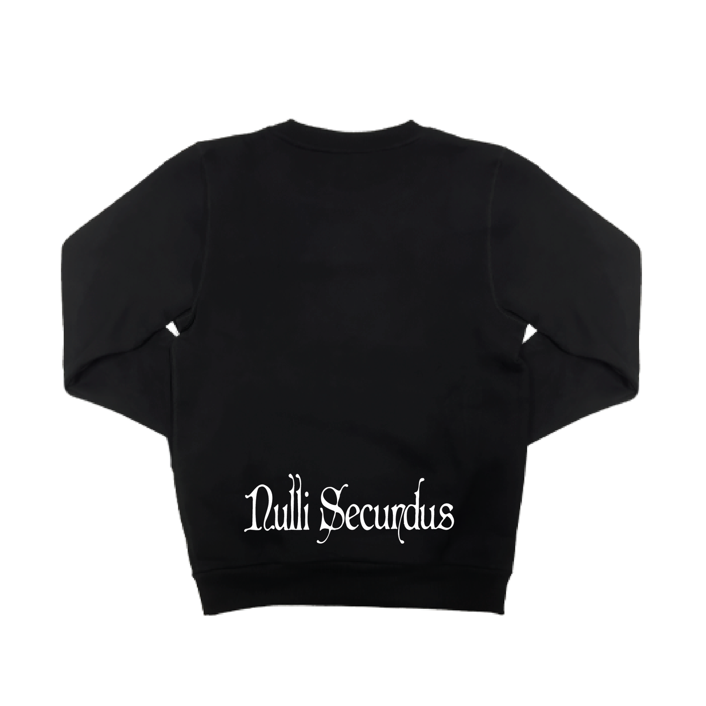 EDSC CREW NECK JUMPER - LOGO TEXT EDSC (AP240272)