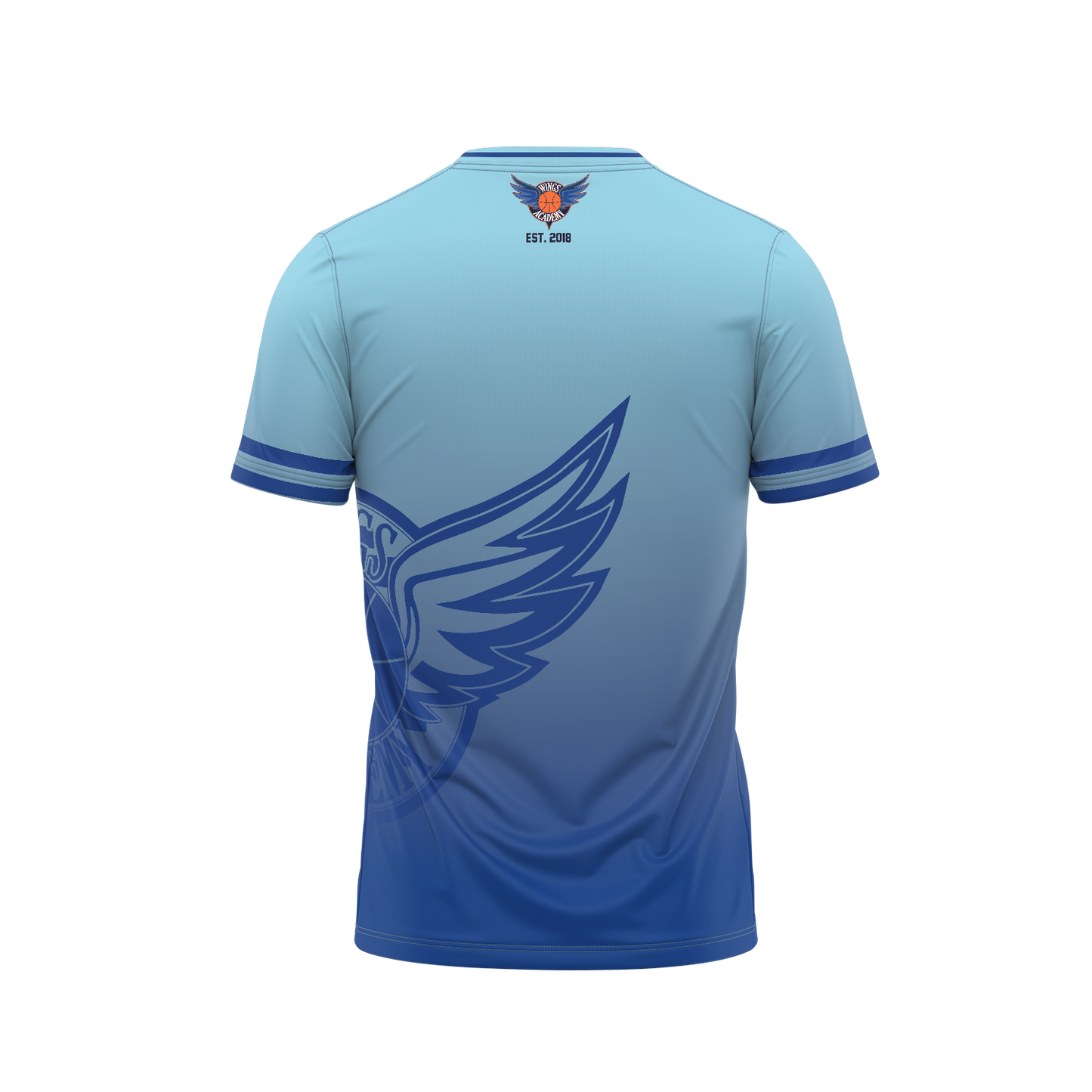 WINGS CREW NECK TRAINING TEE - BLUE