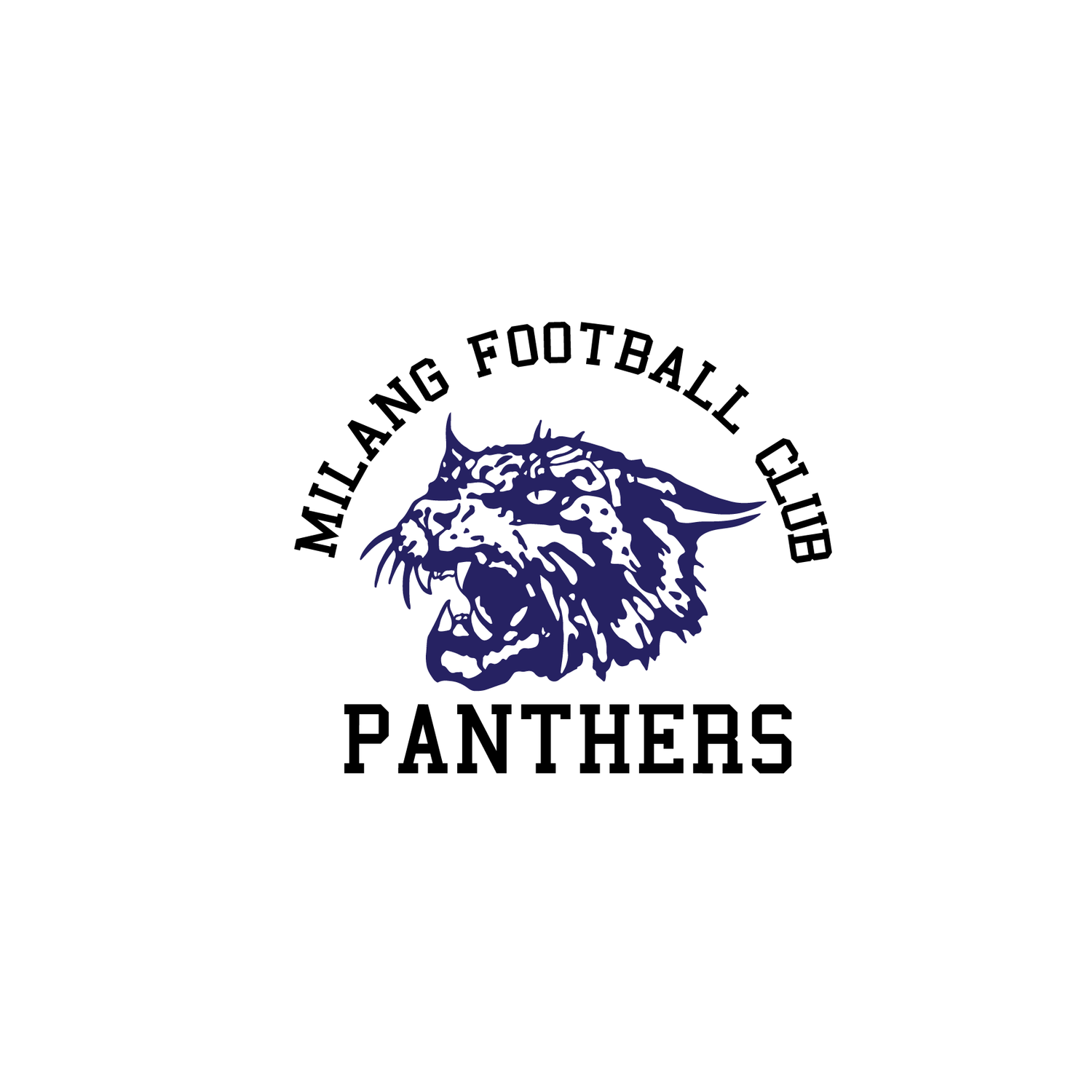 Milang Panthers FC