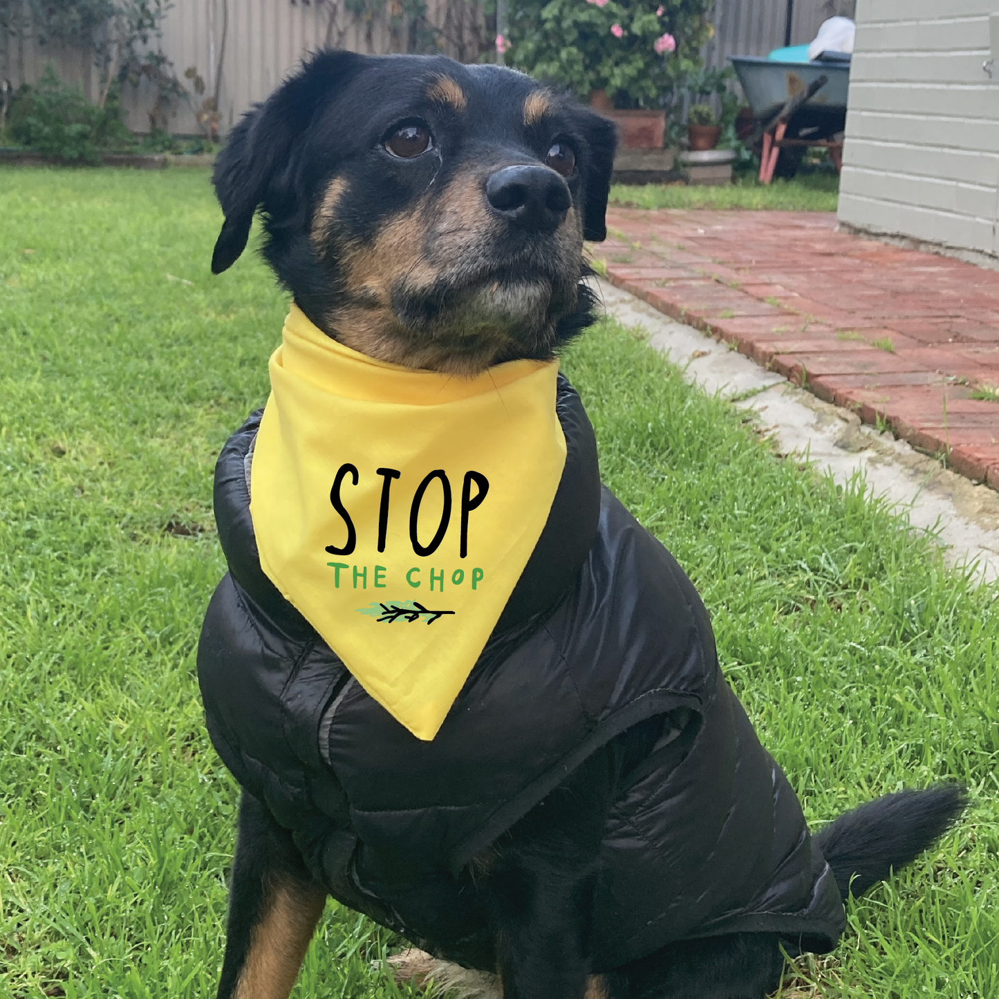 ADELAIDE PARK LANDS - STOP THE CHOP - YELLOW DOG BANDANA