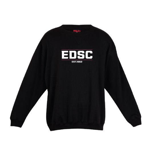EDSC CREW NECK JUMPER - LOGO TEXT EDSC (AP240272)