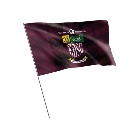 EDSC LARGE FLAG 100CM X 60CM (AP240185)