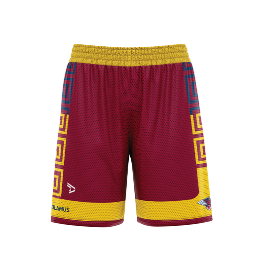GRYPHONS BASKETBALL SHORTS (AP250572)