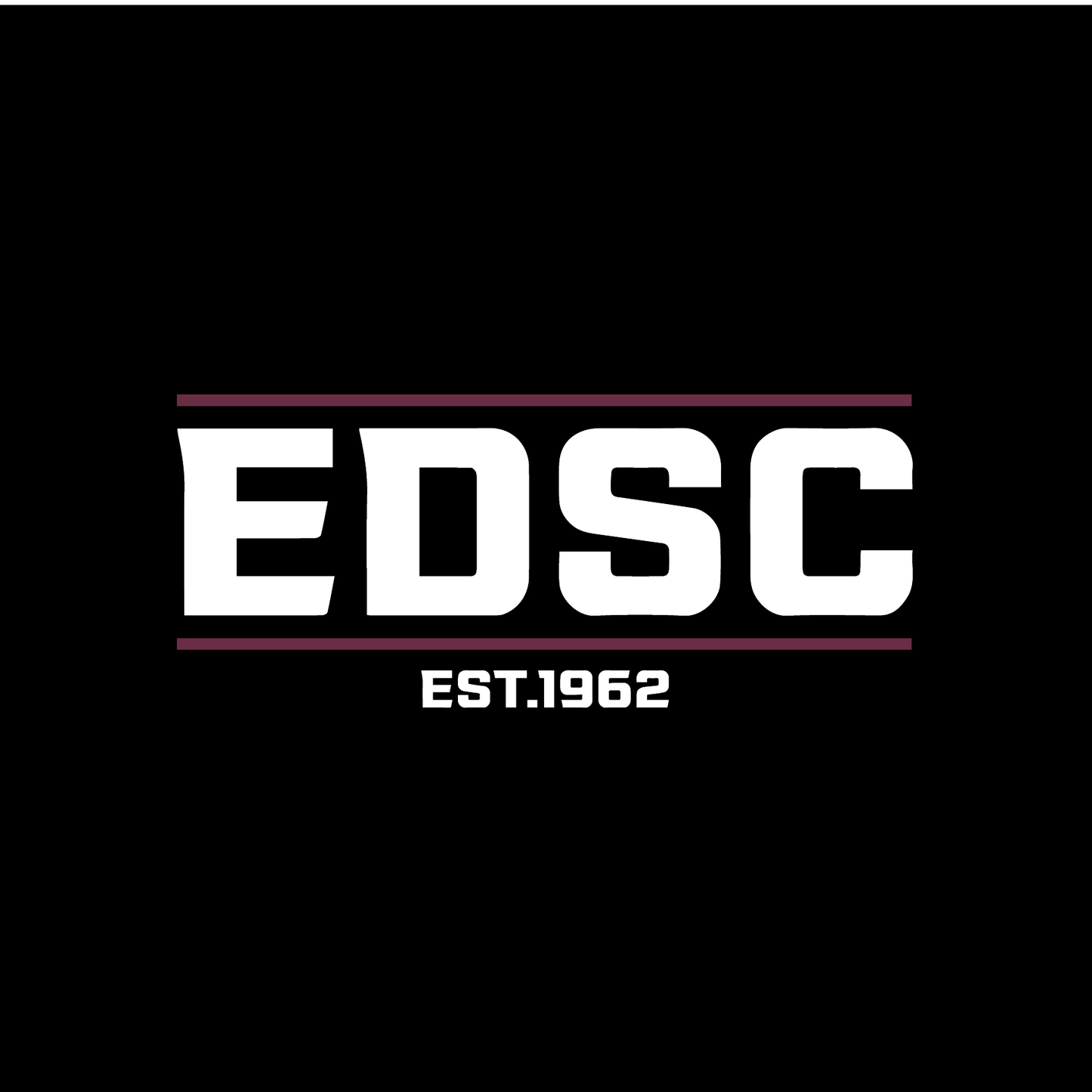 EDSC CREW NECK JUMPER - LOGO TEXT EDSC (AP240272)