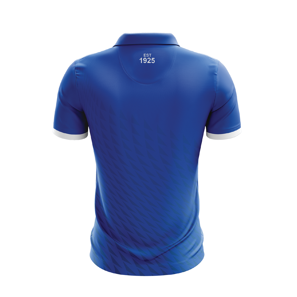 READE PARK LAWN TENNIS CLUB POLO - ROYAL (AP260343)