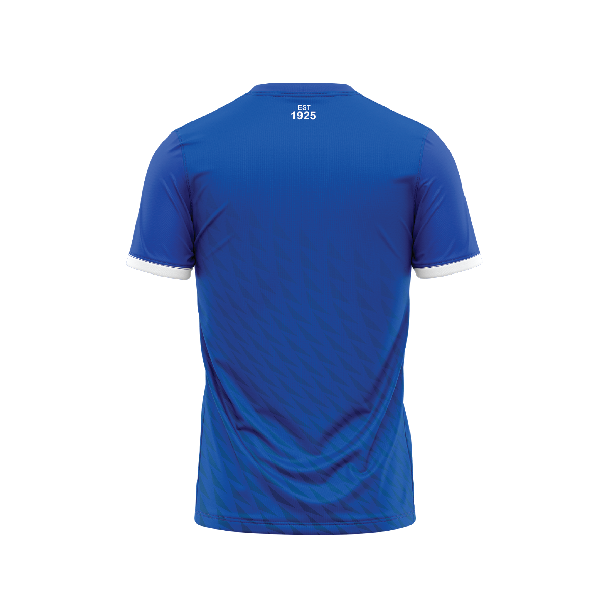READE PARK LAWN TENNIS CLUB TEE - ROYAL (AP260344)