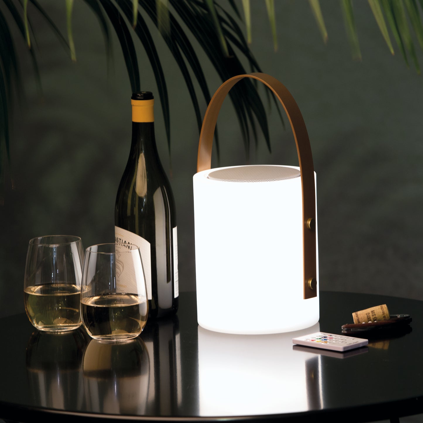 Twilight Speaker Lamp (POTSL)